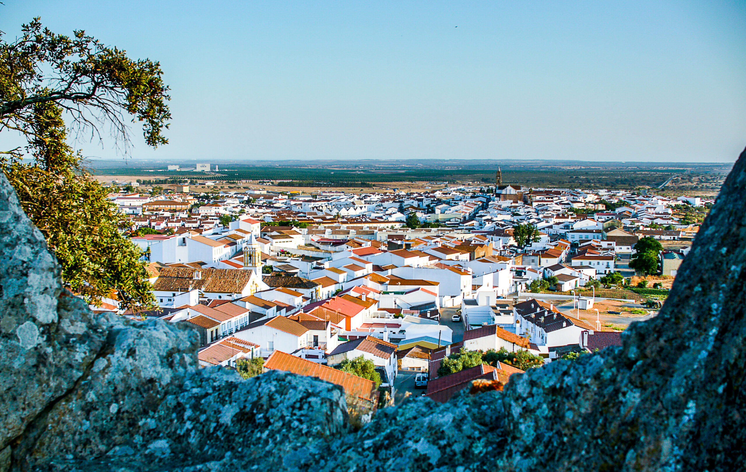 Descubriendo sabores