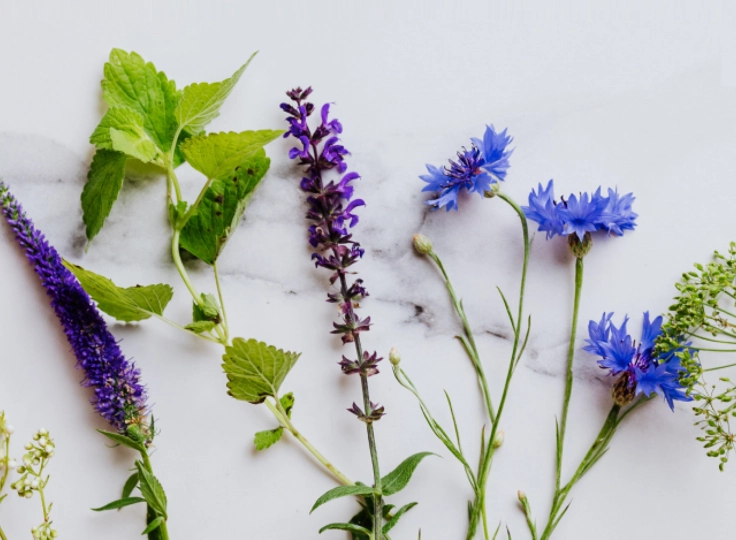 Esencias y Aromas del Andévalo