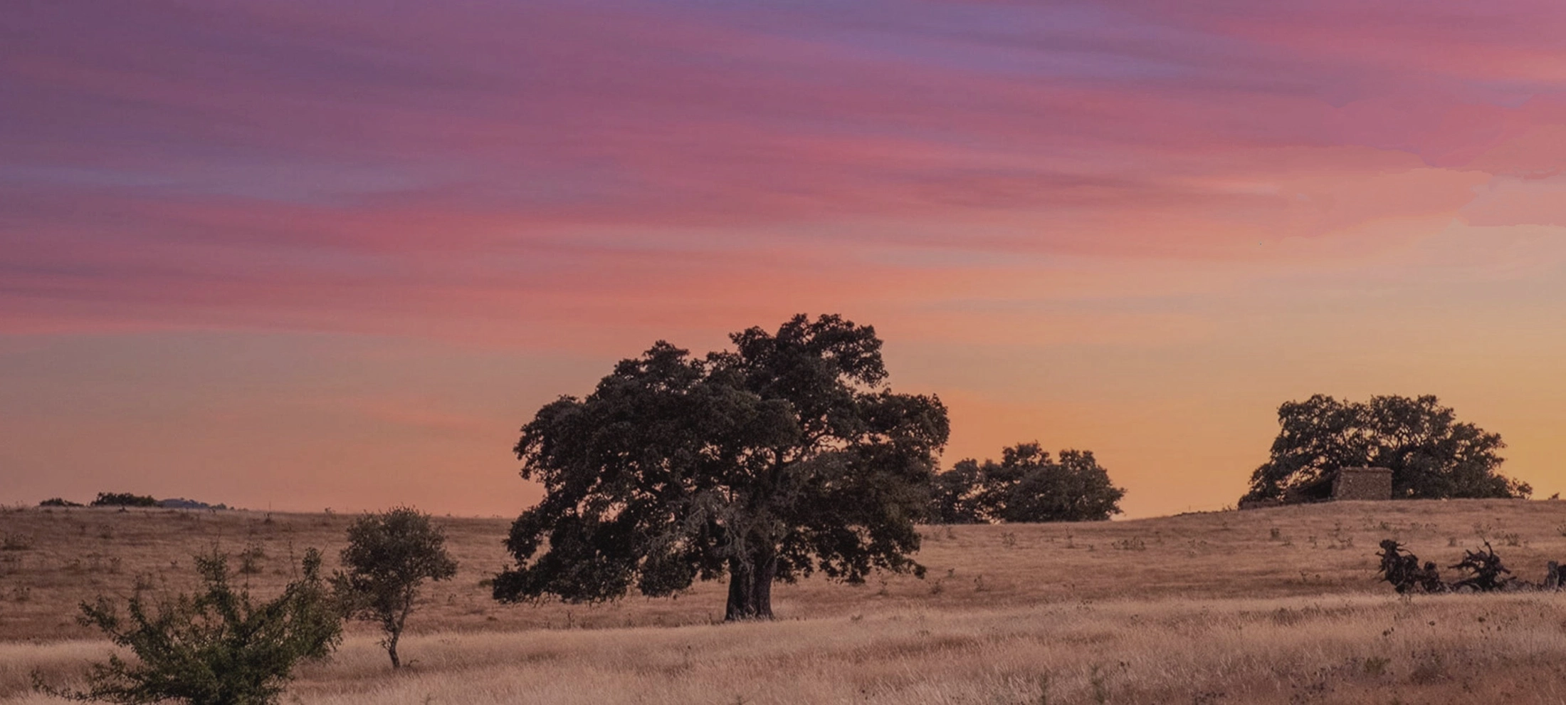 Productos sostenibles,<br />
economía circular